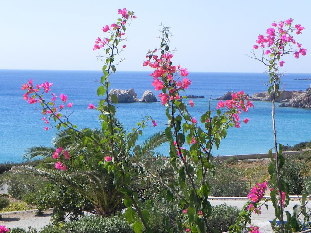 Ardani Bay Studios Amoopi Rom bilde